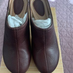 Fossil Clog